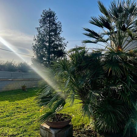 A Casa Di Marco Guesthouse - Apt Di Ciampino E Stazione Per Roma Marino Bagian luar foto