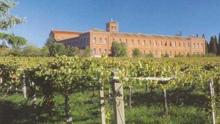 A Casa Di Marco Guesthouse - Apt Di Ciampino E Stazione Per Roma Marino Bagian luar foto
