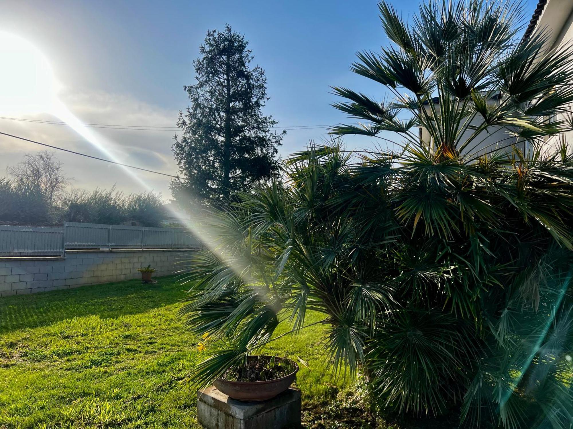 A Casa Di Marco Guesthouse - Apt Di Ciampino E Stazione Per Roma Marino Bagian luar foto