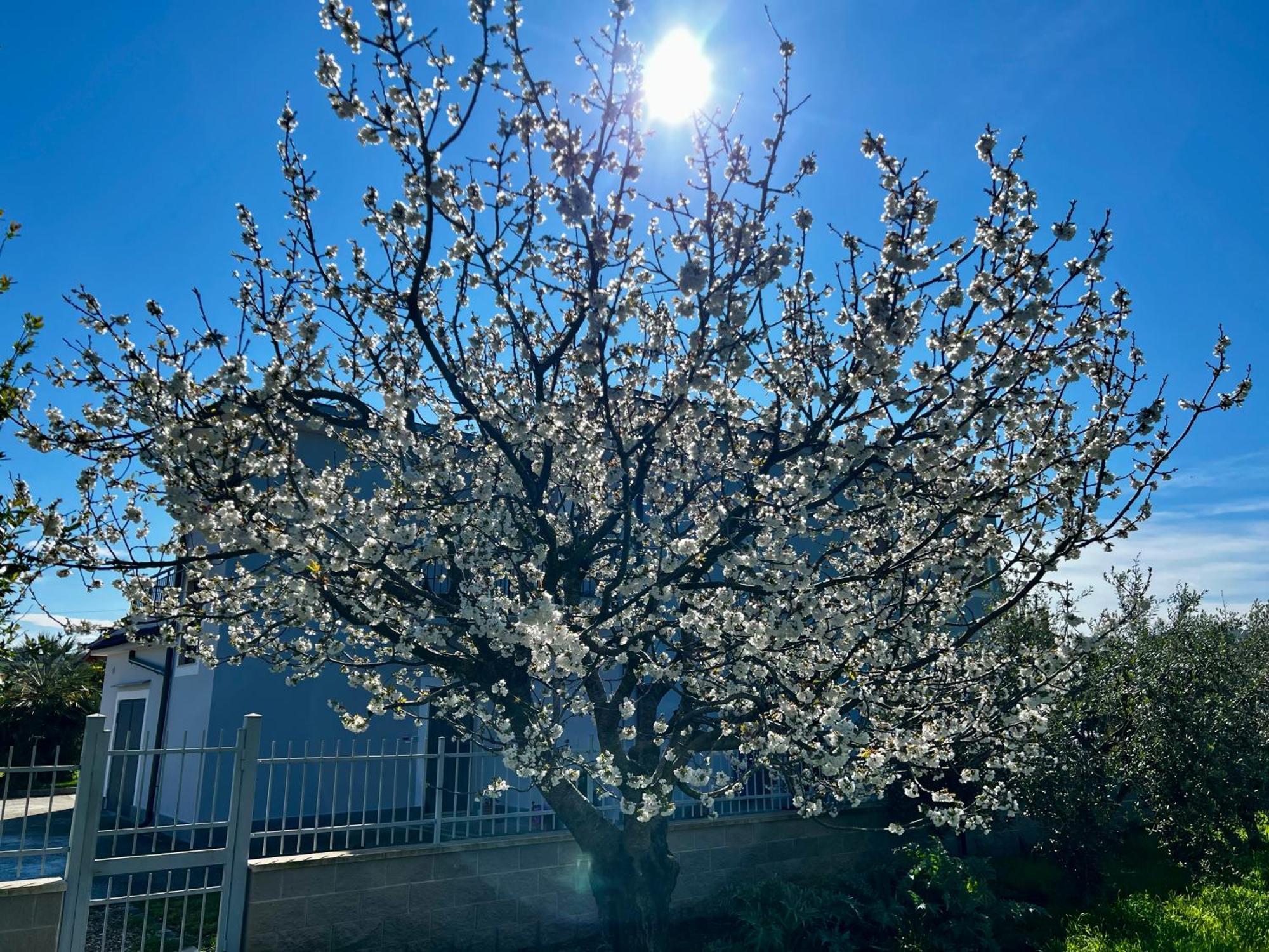 A Casa Di Marco Guesthouse - Apt Di Ciampino E Stazione Per Roma Marino Bagian luar foto